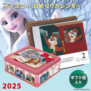 数量限定 ディズニー 日めくりカレンダー 202...の商品画像