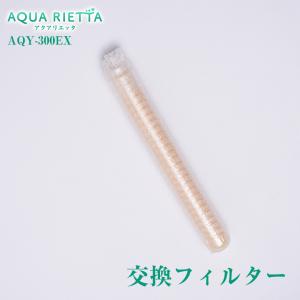 アクアリエッタ AQY-300EX 交換フィルター AQUA RIETTA 水素ガス発生器 水素吸入器 酸素吸入器 水素ガス吸入器 酸素ガス吸入器 フィルター