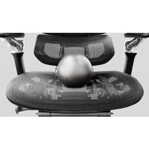 Rasical Chair Elite ラシカ...の詳細画像5