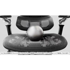 Rasical Chair Elite ラシカ...の詳細画像5