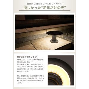 太陽光発電 照明 LUNAXIA EX Leo...の詳細画像2