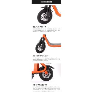特例特定小型原動機付自転車SS1 免許不要 電...の詳細画像4