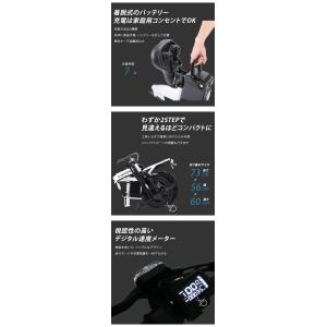 特例特定小型原動機付自転車Easy こがない自...の詳細画像5