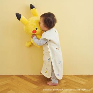 monpoke モンポケ ポケモン公式ベビーブ...の詳細画像1