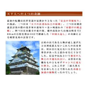 豊臣秀吉の出世守り本尊 夢を叶える 三面大黒天...の詳細画像3
