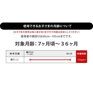 在庫限りで販売終了 ポイント15倍☆ ヒップシ...の詳細画像3