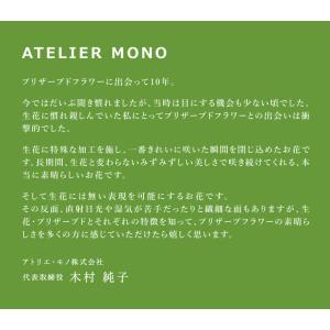 花彩蓮(はないろは)蓮の趣 Mサイズ アトリエ...の詳細画像4