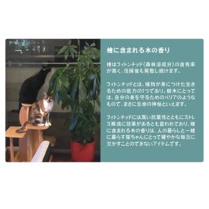 一生使えるキャットタワー サワロ 猫 高齢 シ...の詳細画像3
