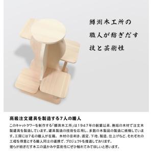 一生使えるキャットタワー サワロ 猫 高齢 シ...の詳細画像4