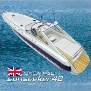 SunSeeker48 Super Hawk（完成品）精密模型 全長90ｃｍ｜offer1999
