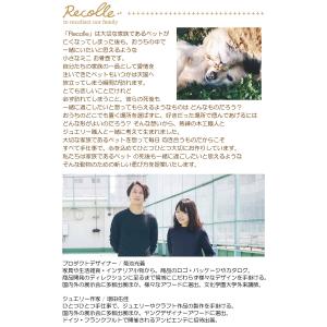 ペット 骨壺 ミニ骨壷 分骨 手元供養 ペット...の詳細画像2