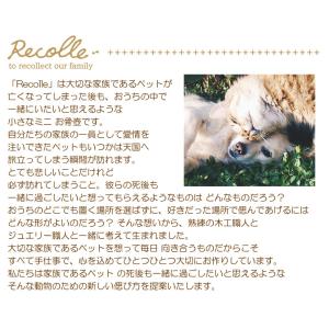 ペット 骨壺 ミニ骨壷 分骨 手元供養 ペット...の詳細画像2