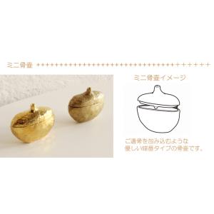 ペット 骨壺 ミニ骨壷 分骨 手元供養 ペット...の詳細画像3