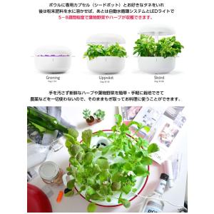 自動水循環システム搭載 水耕栽培キット Pla...の詳細画像2