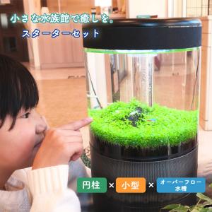 小型 オーバーフロー水槽の商品一覧 通販 Yahoo ショッピング