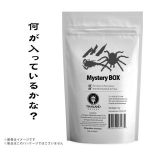 昆虫食 食用 Jungle Trial Mix3 11g(ジャングルトライアルミックス3