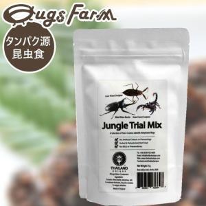 昆虫食 食用 Jungle Trial Mix3 11g(ジャングルトライアルミックス3(カブトムシ)11g)　閲覧注意 良質な脂質が含まれた高栄養食 高蛋白で低糖質 豊富なアミノ酸｜offer1999