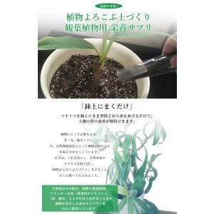 鉢植えのツチトコ 鉢植え専用の純粋ミネラル 7...の詳細画像1