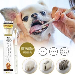 ミガケンデ MIGAKENDE 天然毛 歯ブラシ 犬用 愛犬 小型犬