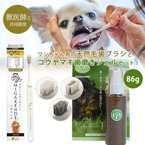 コウヤマキエキス歯磨きの商品一覧 通販 Yahoo ショッピング