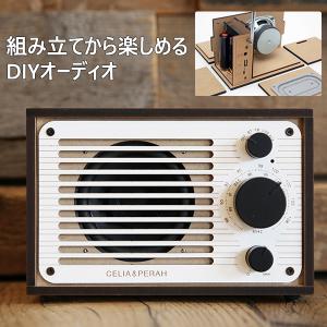 R1 DIYオーディオ 遊びごころ DIY 組み立て 高品質オーディオ FMラジオ Bluetooth ブルートゥース カスタマイズ エシカル 組み立てキット インテリア｜offer1999