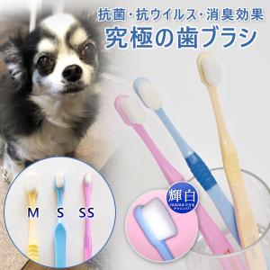 天使の羽ブラシ 犬用 歯ブラシ 歯ぶらし 犬 ヘルシーアニマルズ プラチナナノ 抗菌 抗ウイルス 消臭 安全 小型犬 中型犬 大型犬 3サイズ 3カラー｜offer1999