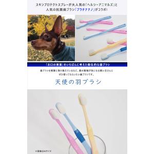 天使の羽ブラシ 犬用 歯ブラシ 歯ぶらし 犬 ...の詳細画像1