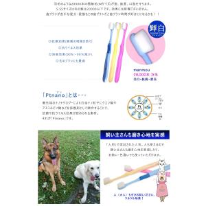 天使の羽ブラシ 犬用 歯ブラシ 歯ぶらし 犬 ...の詳細画像3