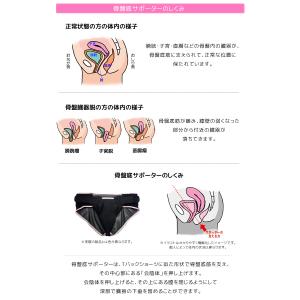 骨盤底サポーター アダム医健 骨盤臓器脱 一般...の詳細画像2