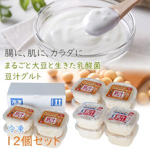 豆汁グルト とうじゅうぐると 450g 味を選べる12個セット 冷凍 プレマラボ 発酵食品 豆乳ヨーグルト 大豆 イソフラボン 乳酸菌｜offer1999