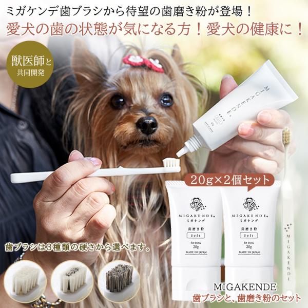 ミガケンデ MIGAKENDE 歯ブラシと歯磨き粉のセット 歯みがき粉 歯磨きジェル 40g（20g...