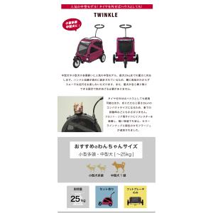 AIRBUGGY TWINKLE トゥインクル...の詳細画像1
