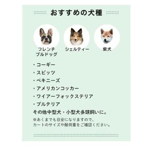 AIRBUGGY TWINKLE トゥインクル...の詳細画像4