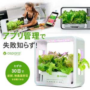 水耕栽培キット Akarina05 ブルー サラダ菜たね スポンジ 液体肥料 灯