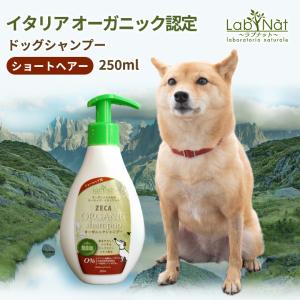 LOUVREDO 復元ブラシPET ルーヴルドー ペットブラシ グルーミング