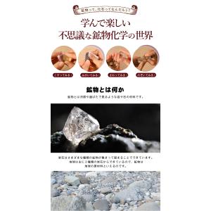 【送料250円でまとめて発送!】化石や鉱物が入...の詳細画像3