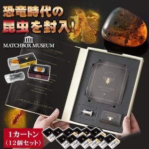 恐竜時代の昆虫 虫入り琥珀のコレクション 1カートン 12個セット マッチ箱博物館 昆虫 虫 琥珀 観察キット マイクロスコープ  宝石 楽しい コレクション