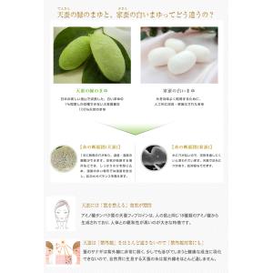 Mayuco マユコ ハンドクリーム 50g ...の詳細画像5