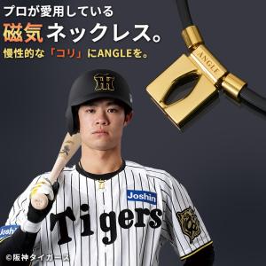 ColanTotte（コラントッテ） ANGLE アングル 正規品 e.MODEL 01