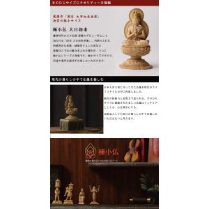 極小仏 大日如来 豪華特典付き 仏像 木彫 精...の詳細画像1