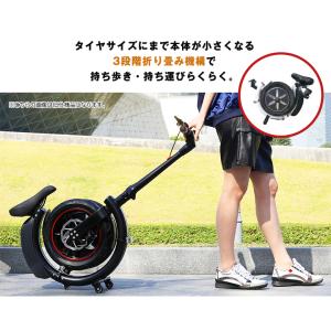 【特定小型原動機付自転車】SWFIT HORS...の詳細画像2