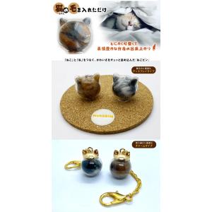 ねこビン チャーム ディスプレイ ねこびん ネ...の詳細画像1