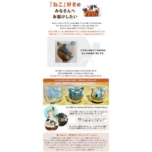ねこビン チャーム ディスプレイ ねこびん ネ...の詳細画像2