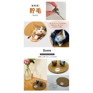 ねこビン チャーム ディスプレイ ねこびん ネ...の詳細画像3