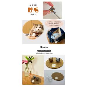 ねこビン チャーム ディスプレイ ねこびん ネ...の詳細画像3