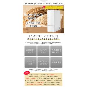 2000円OFFクーポン利用可 豪華特典付き ...の詳細画像2