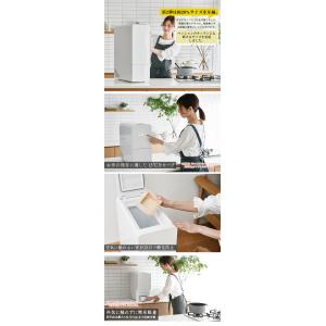2000円OFFクーポン利用可 豪華特典付き ...の詳細画像4