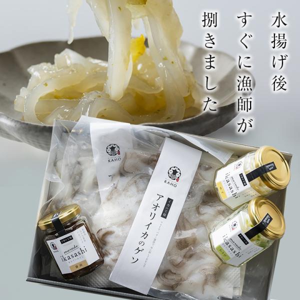 アオリイカギフトセット イカ いか 烏賊 アオリイカ 国産 イカ刺身 ゲソ 軟骨 長崎 九十九島産 ...