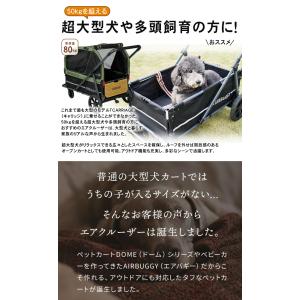 エアバギー AIR CRUISER SET【ベ...の詳細画像1