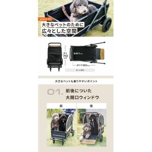 エアバギー AIR CRUISER SET【ベ...の詳細画像2